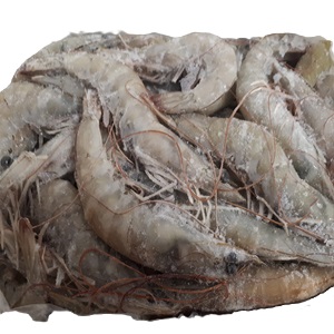 Shrimp 800g